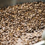 咖啡豆種類百百種，該怎麼選最好？從樹種、產地到特色、風味，超完整咖啡豆種類介紹